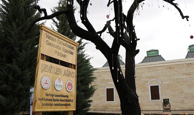 Şehit askerlerin künyelerini çaldılar