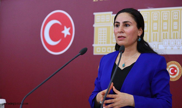 Vekil Sürücü, istismar edilen kızın durumunu Meclis'e taşıdı!