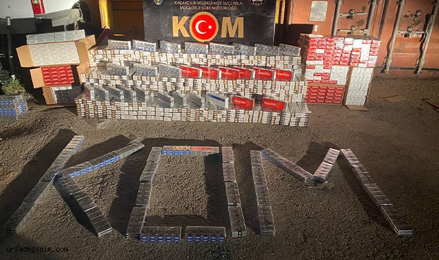 Binlerce paket kaçak sigara ele geçirildi!