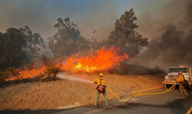 California’da yangın