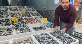 Hamsi bolluğu fiyatları düşürdü