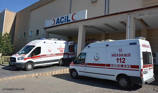 Şanlıurfa'da aracın çarptığı 2 kadın yaralandı!