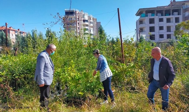 Şanlıurfa ve Malatya'da şarka virüsü alarmı!