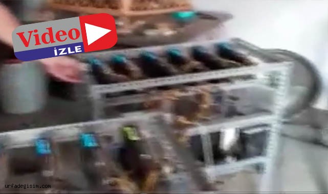 Siverek'te kripto para üreten 2 kişi yakalandı