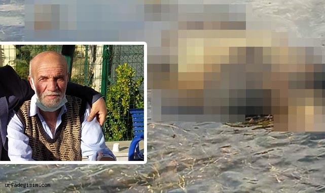 Yaşlı adamın cesedi Fırat'ta bulundu