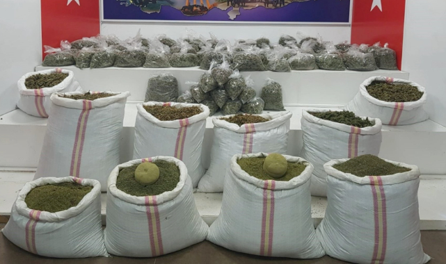 593 kilo esrar ele geçirildi