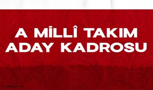 A Milli Takım aday kadrosu açıklandı