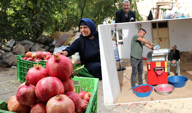 Hibe makinesi ile işleri hızlandırdılar!