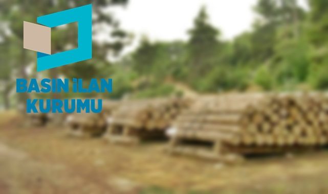 Orman emvali istifleme hizmeti alınacak