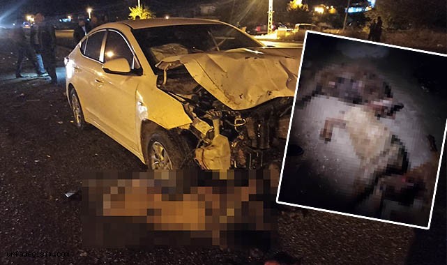 Otomobil sürüye daldı! 28 keçi telef oldu