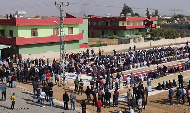 Şanlıurfa'da 7 yıllık husumet sona erdi!