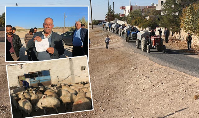 Tankerlerle su alan köyde hayvancılık bitiyor
