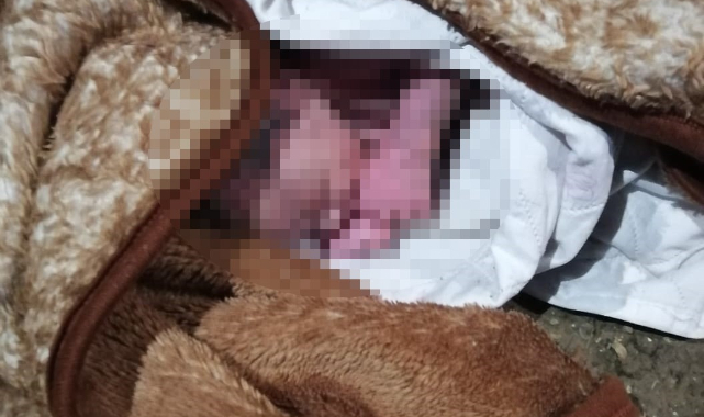 Bahçede yeni doğmuş bebek bulundu