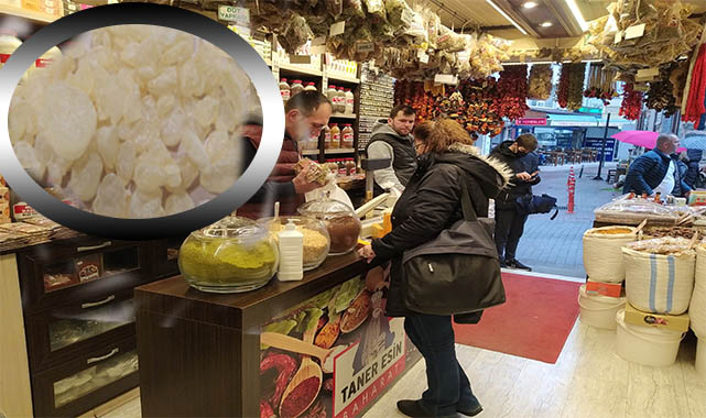 Çam sakızı çoban armağanıydı şimdi kilosu 3 bin 500 lira