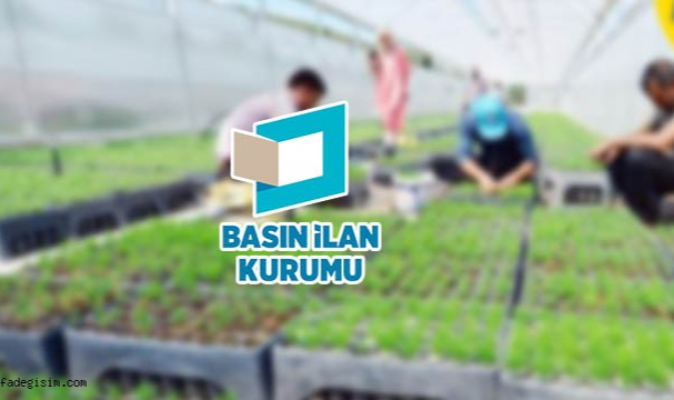 Fidan üretimi ve bakımı hizmeti alınacak