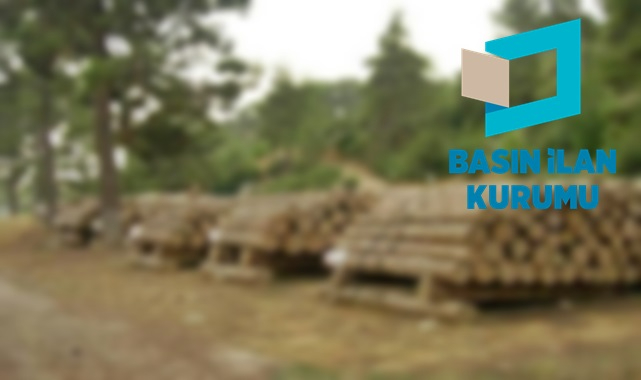 Orman emvali istifleme hizmeti alınacak
