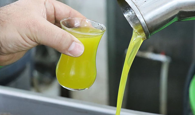 Zeytin yağı için uyarı geldi!