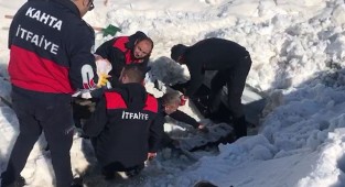 Enkaz altında kalan köpeğe itfaiye yardım etti!
