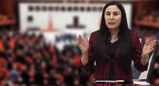 HDP'li Vekil Sürücü: İntihar vakaları araştırılsın!