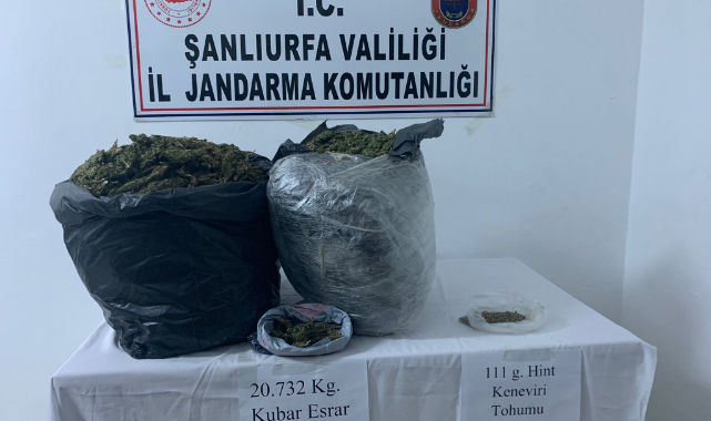 Jandarmadan uyuşturucu operasyonu