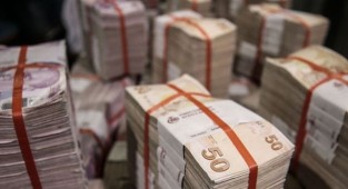 Liralaşma stratejisi dövizle mücadele etkin