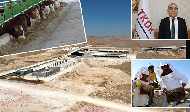 Şanlıurfa'da işletmeler TKDK desteği ile büyüdü