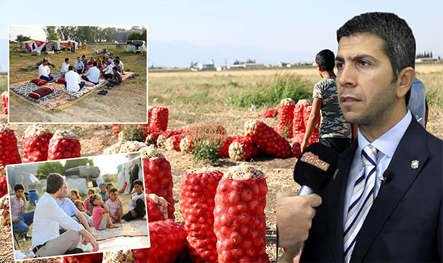 Tarım işçilerinin sorunları rapora döküldü!