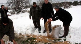 Yaban hayvanları için 35 ton yem bırakıldı!