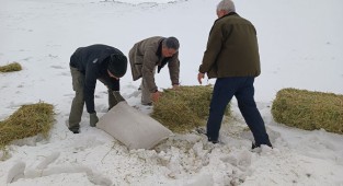 Karacadağ'da Yaban hayvanları için yem bırakıldı!