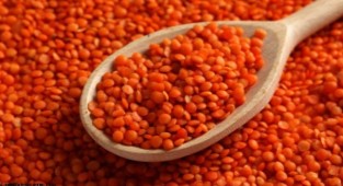 Kırmızı mercimek kaç liradan işlem gördü
