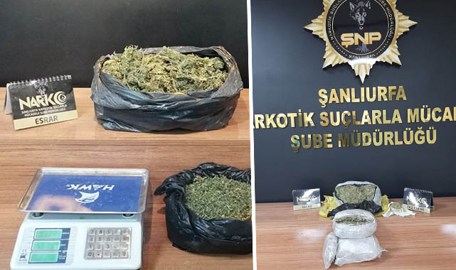 Şanlıurfa’da uyuşturucu operasyonu! 33 gözaltı