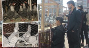 Urfa'da güvercinler barış için salındı
