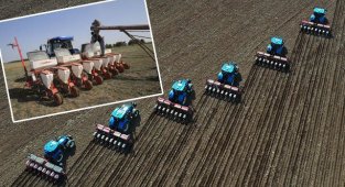 Ceylanpınar’da ayçiçeği tohumları toprakla buluştu