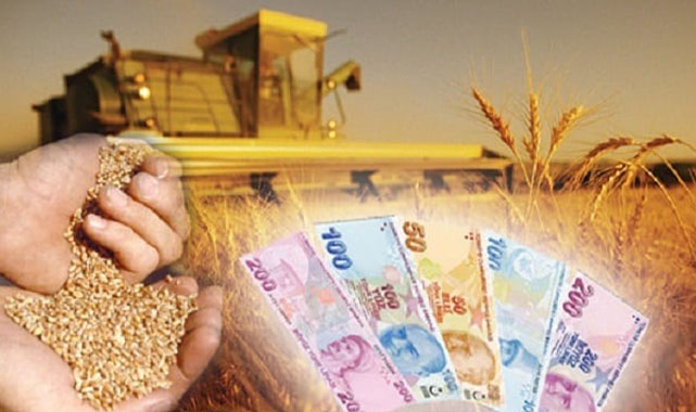 Dekar başına ne kadar destekleme ödenecek?