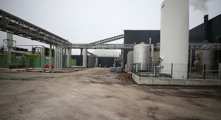 Hayvan gübresinden elektrik üretiliyor