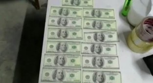 4 milyon 260 bin sahte dolar ele geçirildi!