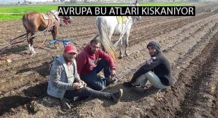 Avrupa Çağ atladı Şanlıurfa 30 yıl geriye gitti