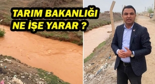 Bir yerde kuraklık bir yerde bilinçsiz sulama!