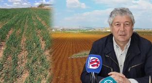 "Gıda krizine karşı enerji maliyeti düşürülmeli"