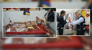 Haliliye’de kokmuş et ele geçirildi
