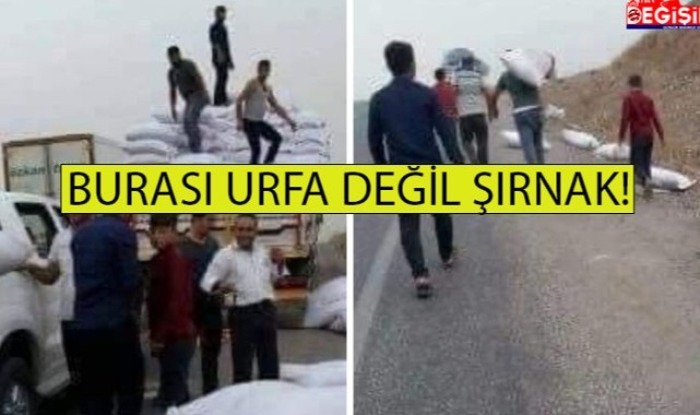 Şırnaklılardan Urfalılara insanlık dersi