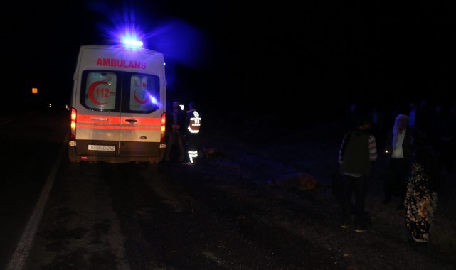 Şanlıurfa'da 22 koyun telef oldu, çoban yaralandı