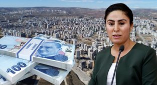 Sürücü, ev kiraları ve fiyatları için araştırma istedi