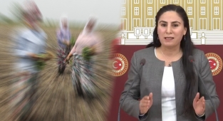 Sürücü, tarım işçileriyle ilgili adım atılmadı!
