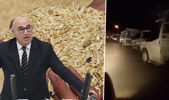 Tarımın başkentinde arpa kuyruğu