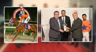 THK Kupası Koşusunu King Ayhan Kazandı