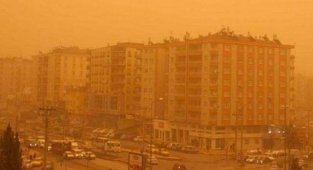 Toz fırtınasının en büyük sebebi bitki örtüsünün tahrip olması!