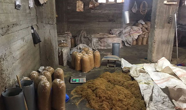 Bir ton 200 kilo kaçak tütün ele geçirildi!