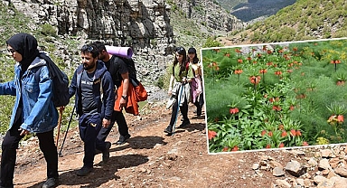 Doğaseverler Şırnak'ın güzelliklerini keşfediyor