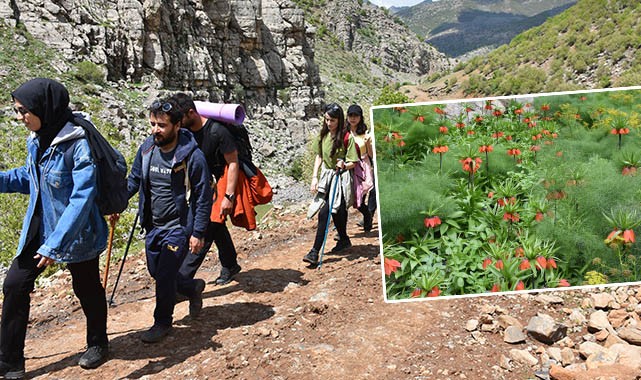 Doğaseverler Şırnak'ın güzelliklerini keşfediyor